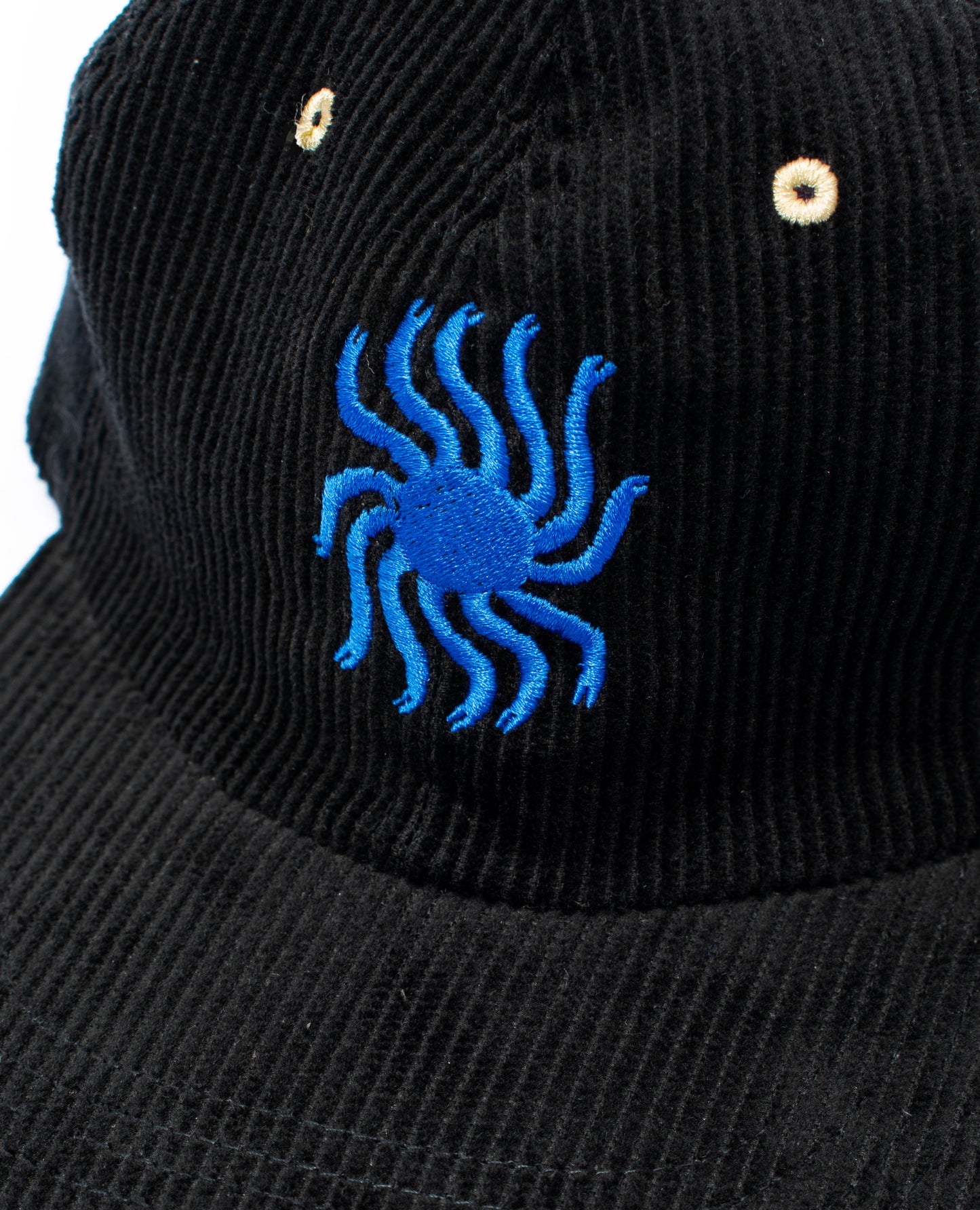 "Blue Sun" Snapback